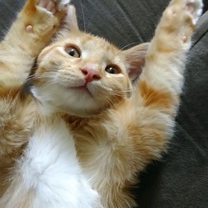 Meet your Posher, Emilie